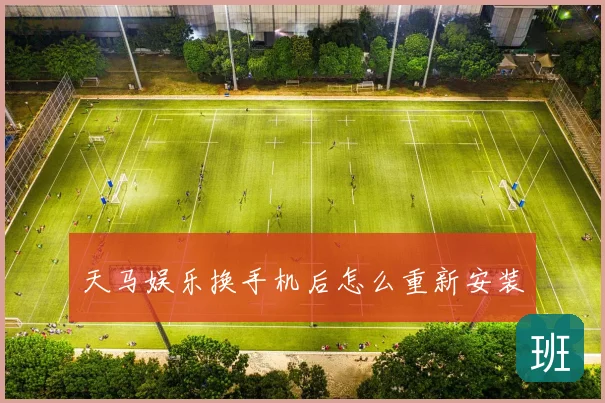 天马娱乐换手机后怎么重新安装